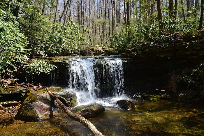 Cranberry Campground Picture 3