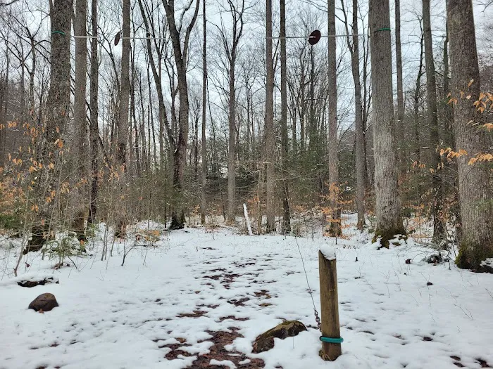 Cranberry Campground Picture 7