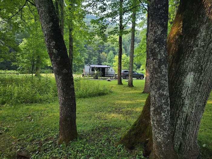 Cranberry Campground Picture 10