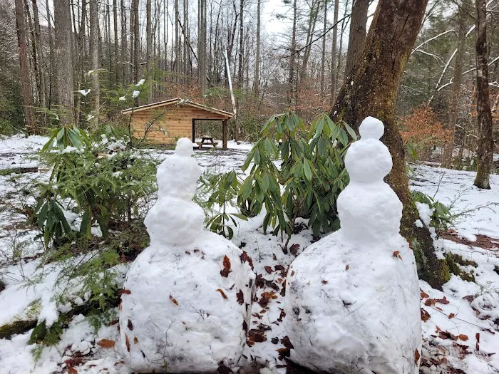 Cranberry Campground Picture 5