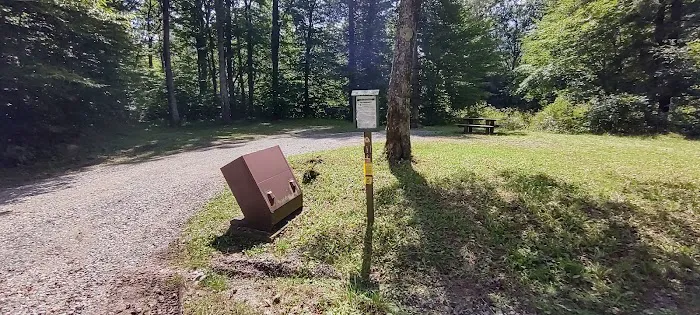 Williams River Campsite 1 Picture 1