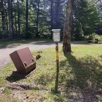 Williams River Campsite 1 ico