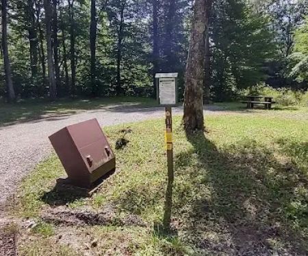 Williams River Campsite 1