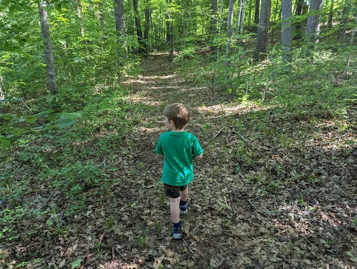 Country Line Creek Campground Picture 7