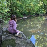 Country Line Creek Campground ico