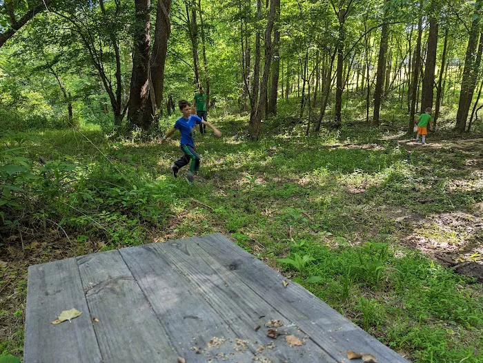 Country Line Creek Campground Picture 4