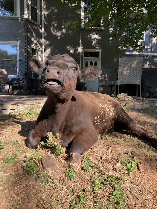 Muddy Creek Campground and Farm Picture 4