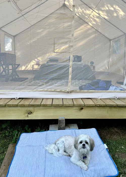 Muddy Creek Campground and Farm Picture 8