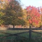 Hendricks Mobile Home Park