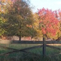 Hendricks Mobile Home Park ico