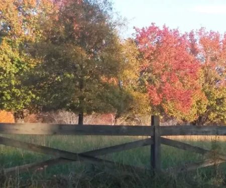 Hendricks Mobile Home Park