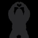 Festview Camping, LLC