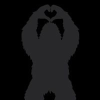 Festview Camping, LLC ico