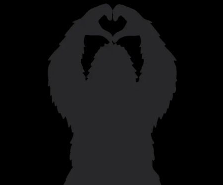 Festview Camping, LLC