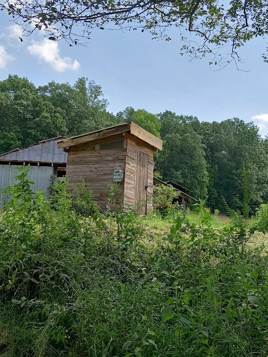 Labhaoise Camp and Hunt Club Picture 10