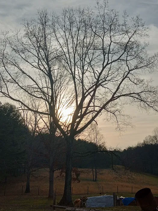 Labhaoise Camp and Hunt Club Picture 9