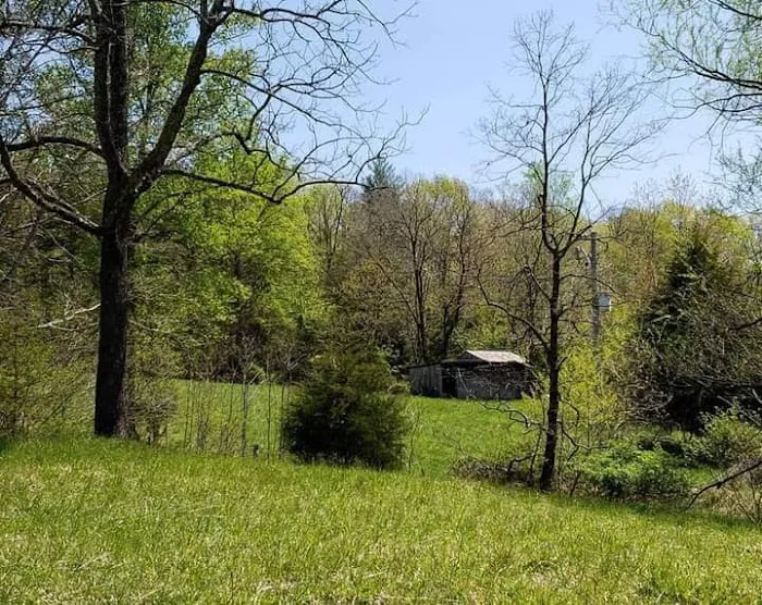 Labhaoise Camp and Hunt Club Picture 3