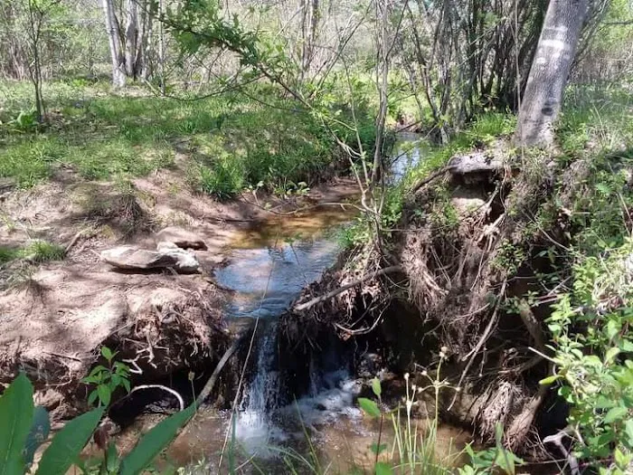 Labhaoise Camp and Hunt Club Picture 7