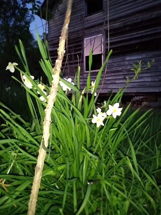 Labhaoise Camp and Hunt Club Picture 5