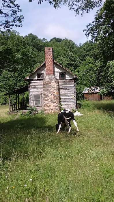 Labhaoise Camp and Hunt Club Picture 8