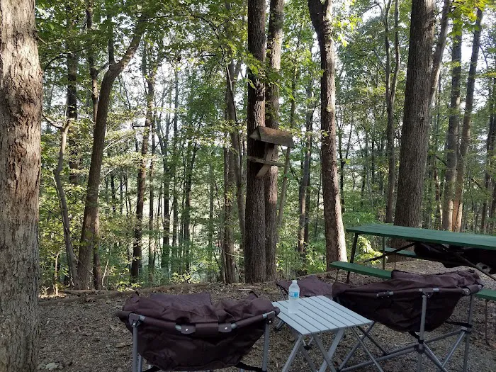 Deer Run Campgrounds Picture 4