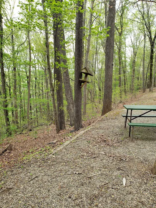 Deer Run Campgrounds Picture 7