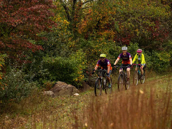 Floyd Family Campground Picture 9