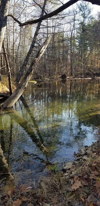 Caldwell Fields Campground Picture 8