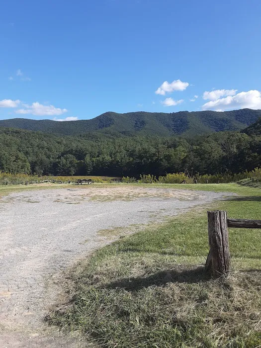 Caldwell Fields Campground Picture 7