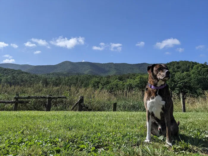 Caldwell Fields Campground Picture 5