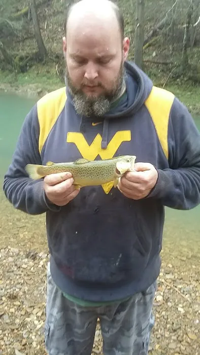 BLUE MEADOW Picture 2