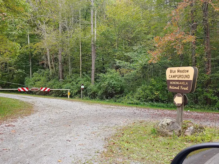 BLUE MEADOW Picture 4