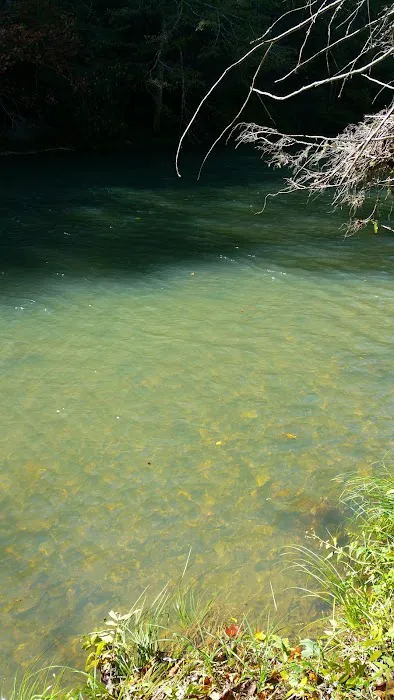 BLUE MEADOW Picture 3