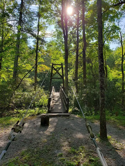 Blue Bend Campground Picture 4