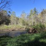 Blue Bend Campground