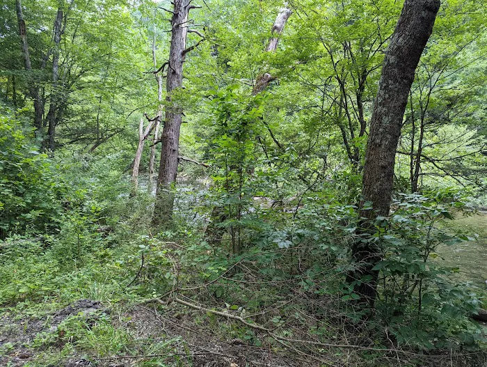 Blue Bend Campground Picture 8