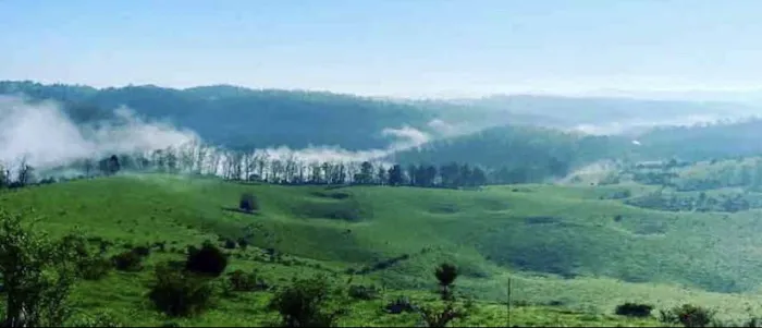 Evergreen Cabin at Second Creek Picture 3