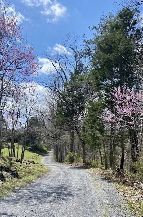 Evergreen Cabin at Second Creek Picture 5
