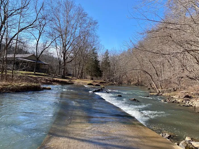 Evergreen Cabin at Second Creek Picture 8