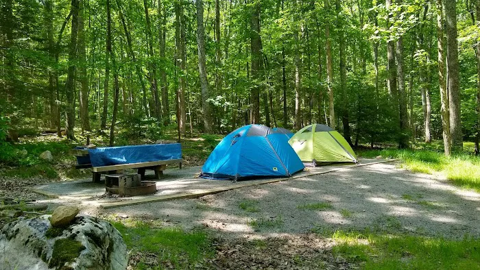 White Rocks Campground Picture 1