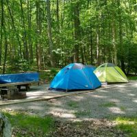 White Rocks Campground ico