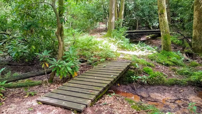 White Rocks Campground Picture 7