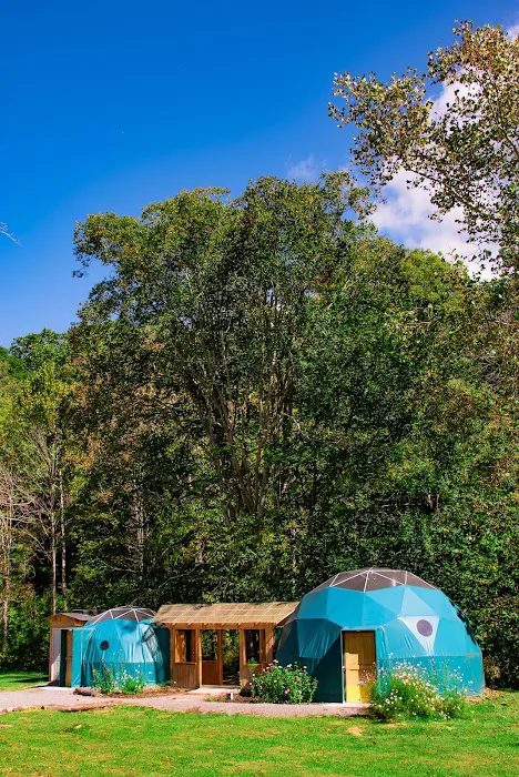 WV Glamping Domes Picture 4