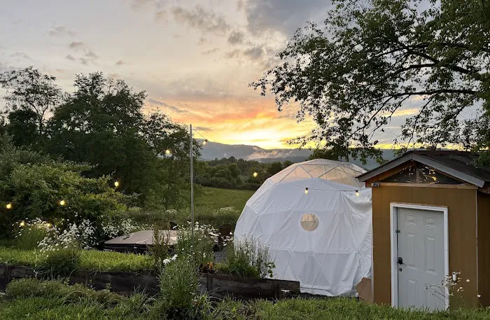 WV Glamping Domes Picture 2
