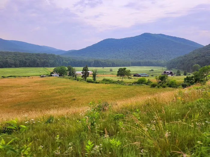 River Ridge Campground Picture 4