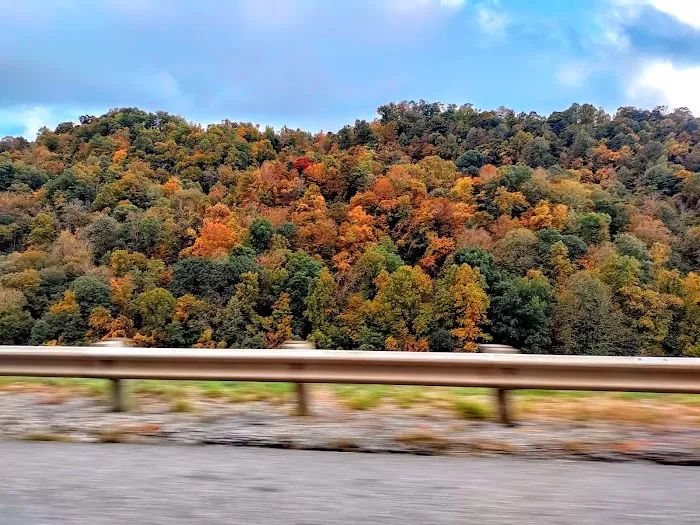 River Ridge Campground Picture 7