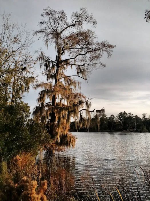 Washington Center of the United Methodist Church Picture 5