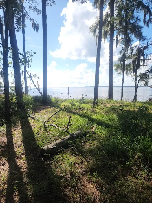 Goose Creek State Park Tent Campground Picture 6