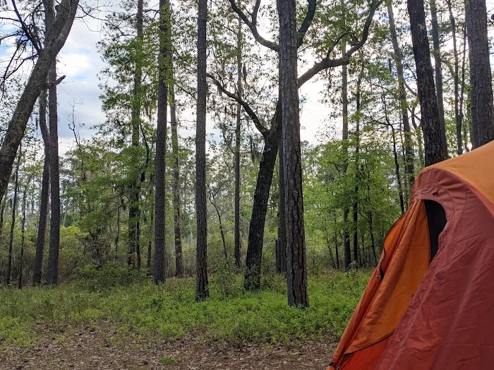 Goose Creek State Park Tent Campground Picture 4