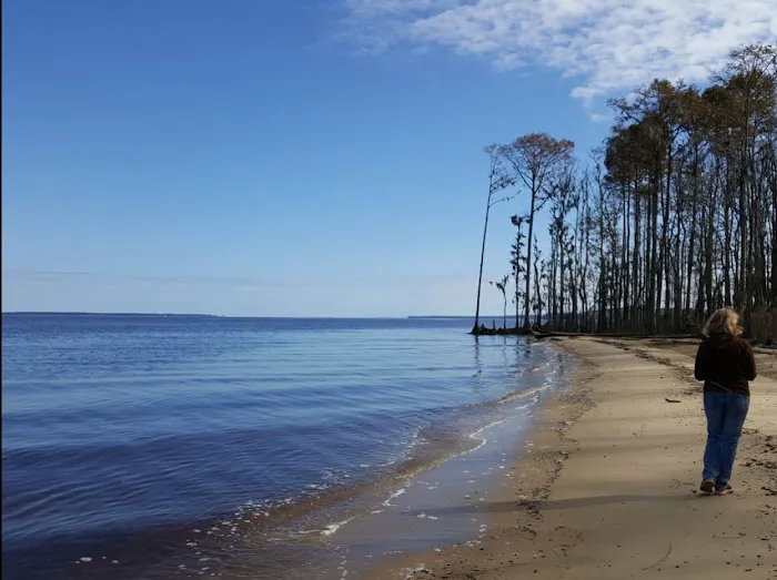 Goose Creek State Park Tent Campground Picture 5